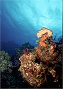 ScenicViews2-30