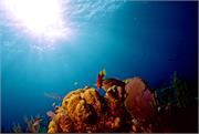 ScenicViews2-40