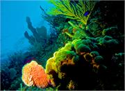 ScenicViews2-41