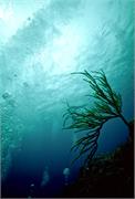 ScenicViews2-5