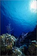 ScenicViews2-62
