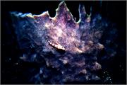 sponges1-15
