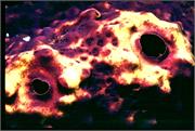 sponges2-16